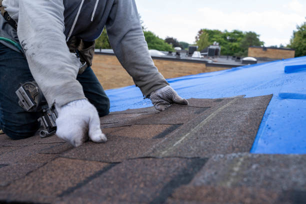 Quick and Trustworthy Emergency Roof Repair Services in Lake In The Hills, IL