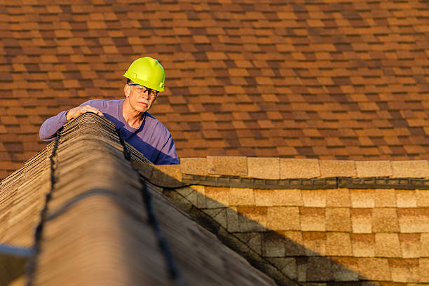 Best Commercial Roofing Services  in Lake In The Hls, IL