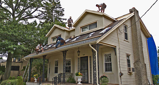 Best Roof Waterproofing Services  in Lake In The Hls, IL