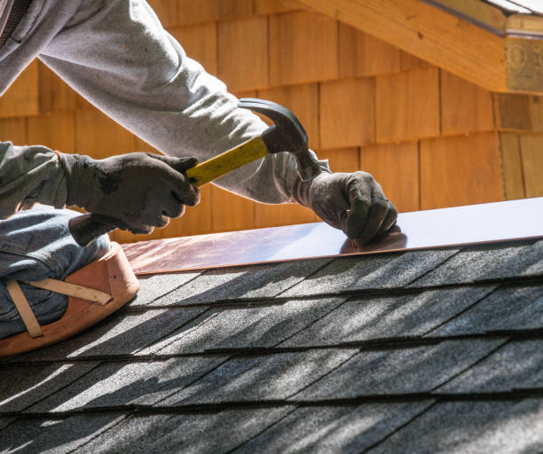 Best Flat Roof Repair Services  in Lake In The Hls, IL